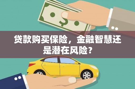 盐山贷款购买保险，金融智慧还是潜在风险？