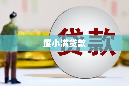 田林度小满贷款