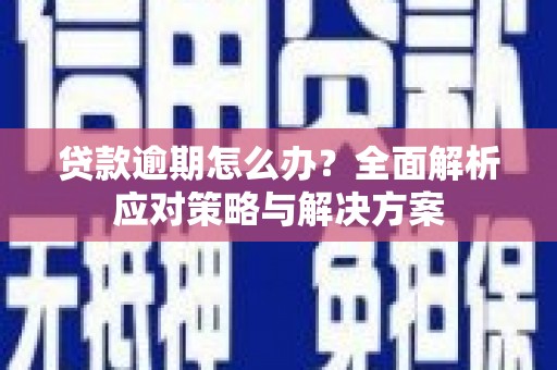 乐东贷款逾期怎么办？全面解析应对策略与解决方案