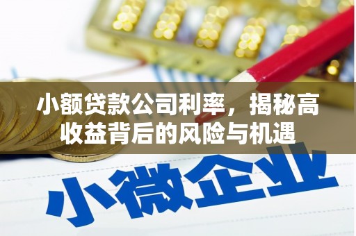 庄浪小额贷款公司利率，揭秘高收益背后的风险与机遇
