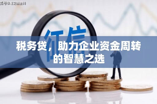 兴县税务贷，助力企业资金周转的智慧之选