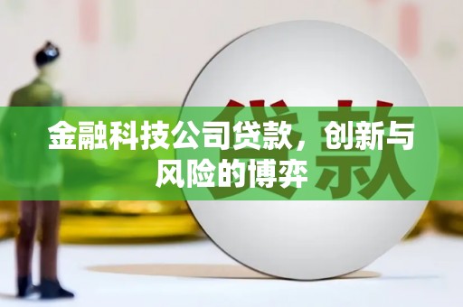 鄢陵金融科技公司贷款，创新与风险的博弈