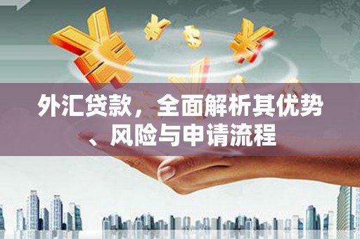炉霍外汇贷款，全面解析其优势、风险与申请流程