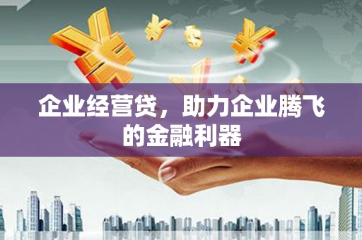盐田企业经营贷，助力企业腾飞的金融利器