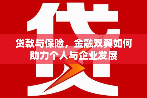 九原贷款与保险，金融双翼如何助力个人与企业发展