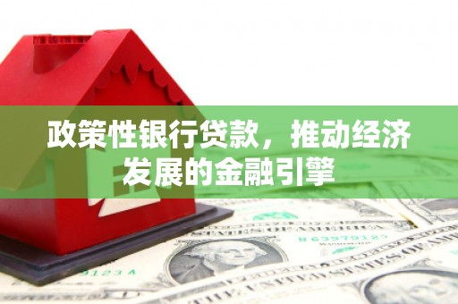 曲麻莱政策性银行贷款，推动经济发展的金融引擎