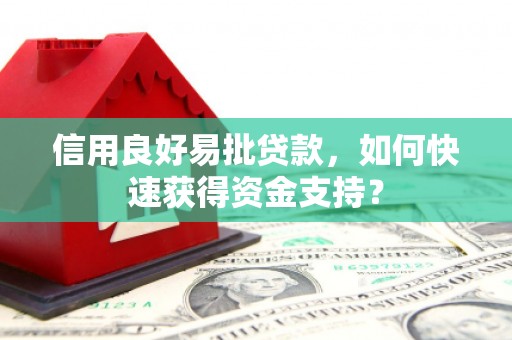葵青信用良好易批贷款，如何快速获得资金支持？