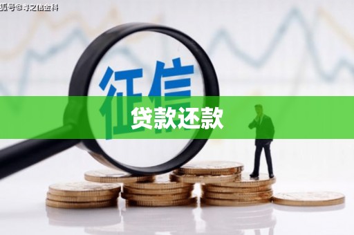 安陆贷款还款