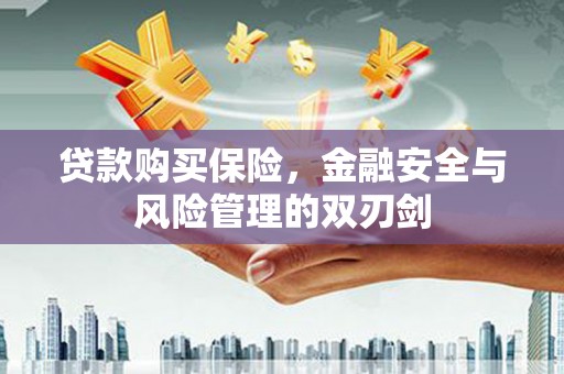 沈河贷款购买保险，金融安全与风险管理的双刃剑