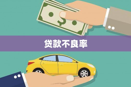汉台贷款不良率