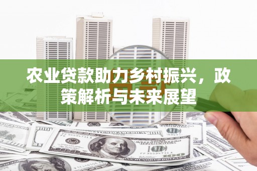 贾汪农业贷款助力乡村振兴，政策解析与未来展望