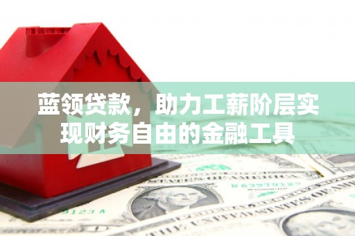 友谊蓝领贷款，助力工薪阶层实现财务自由的金融工具