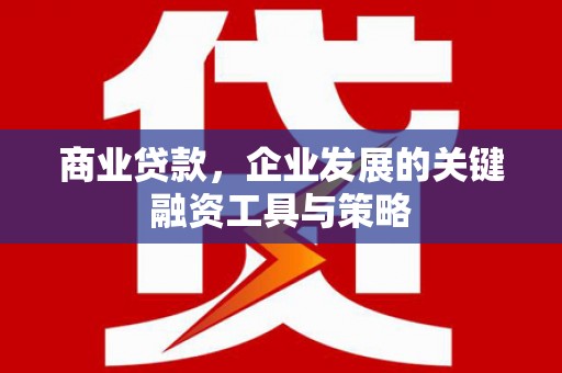 大兴安岭商业贷款，企业发展的关键融资工具与策略