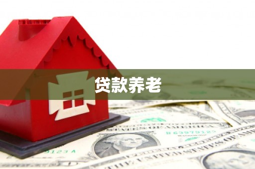武义贷款养老