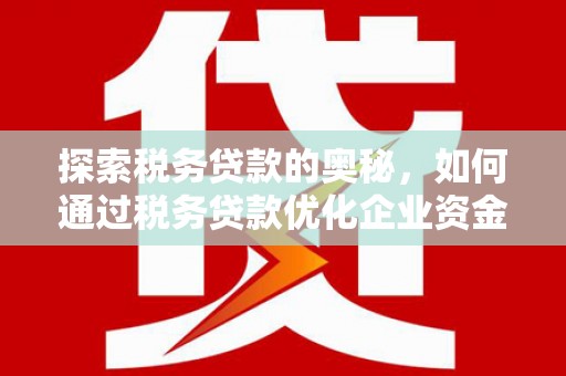 田尾探索税务贷款的奥秘，如何通过税务贷款优化企业资金流