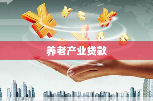 岚皋养老产业贷款