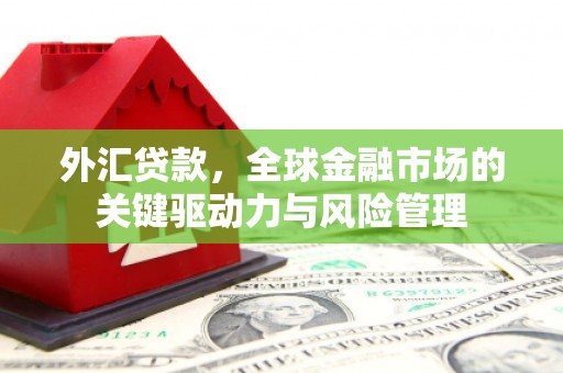 颍泉外汇贷款，全球金融市场的关键驱动力与风险管理