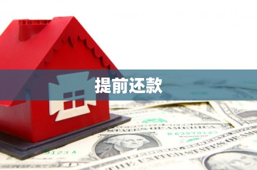 岳塘提前还款