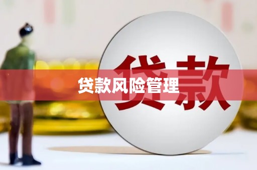横山贷款风险管理