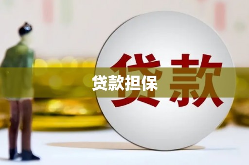 文县贷款担保