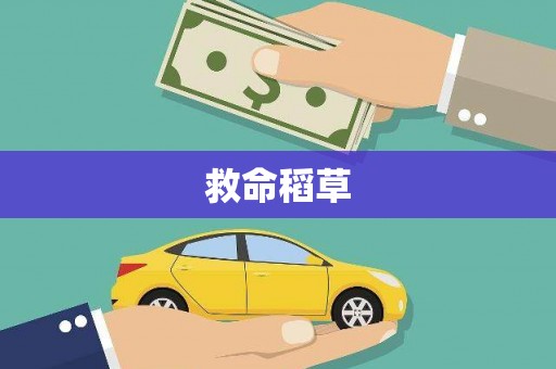岷县救命稻草