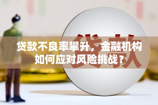 庆元贷款不良率攀升，金融机构如何应对风险挑战？
