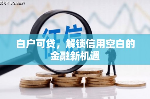 新平白户可贷，解锁信用空白的金融新机遇