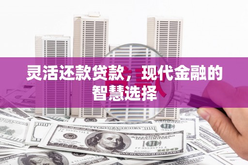灌云灵活还款贷款，现代金融的智慧选择
