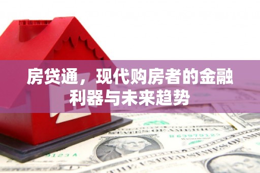 新园房贷通，现代购房者的金融利器与未来趋势