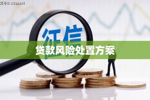 缙云贷款风险处置方案