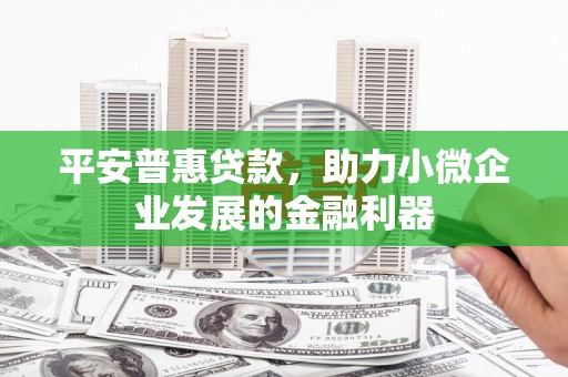 商南平安普惠贷款，助力小微企业发展的金融利器