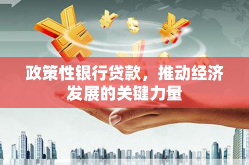 岳塘政策性银行贷款，推动经济发展的关键力量