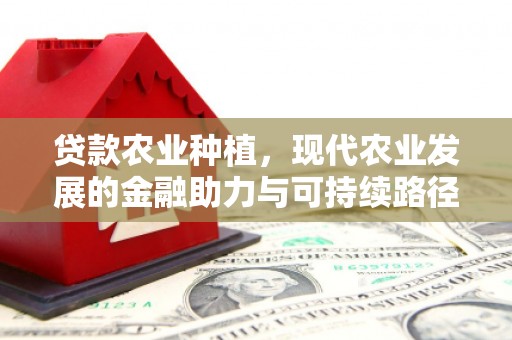 泸县贷款农业种植，现代农业发展的金融助力与可持续路径