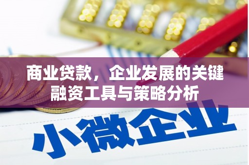 神农架商业贷款，企业发展的关键融资工具与策略分析