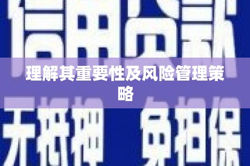新野理解其重要性及风险管理策略