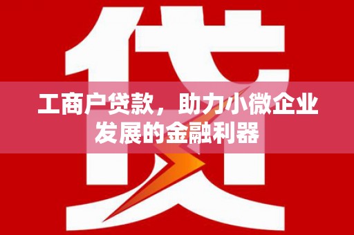 大观工商户贷款，助力小微企业发展的金融利器