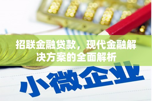 成武招联金融贷款，现代金融解决方案的全面解析