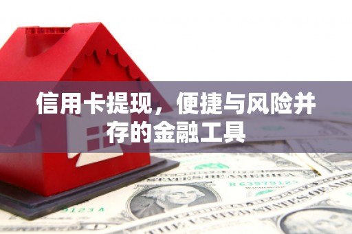 葫芦岛信用卡提现，便捷与风险并存的金融工具