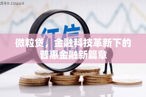 秀林微粒贷，金融科技革新下的普惠金融新篇章