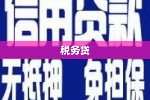 新邱税务贷