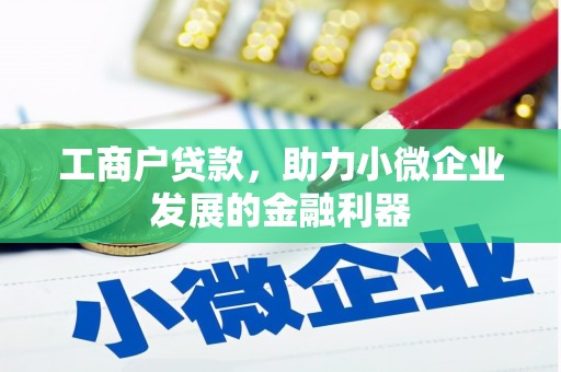 泗阳工商户贷款，助力小微企业发展的金融利器