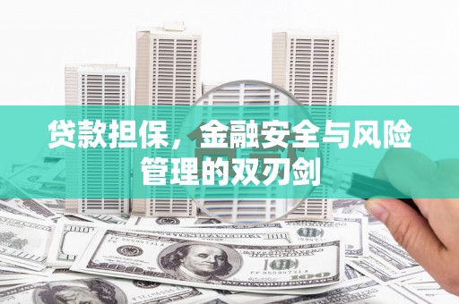 清水河贷款担保，金融安全与风险管理的双刃剑