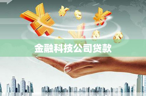 南丰金融科技公司贷款