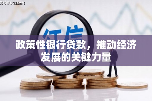 花溪政策性银行贷款，推动经济发展的关键力量