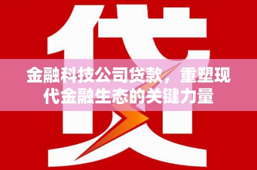 高邮金融科技公司贷款，重塑现代金融生态的关键力量