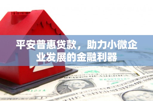 洪江平安普惠贷款，助力小微企业发展的金融利器