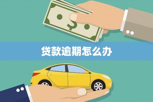 泾河贷款逾期怎么办