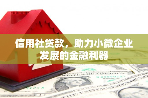兴县信用社贷款，助力小微企业发展的金融利器