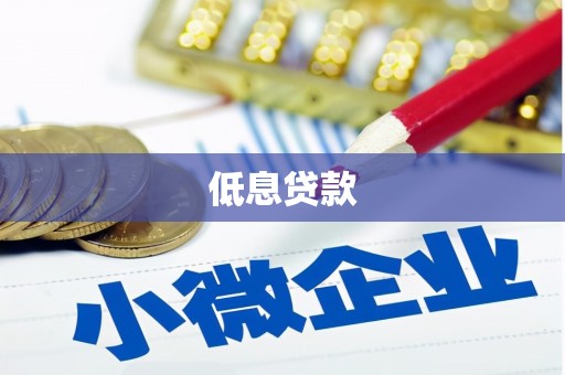 共和低息贷款