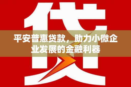 万丹平安普惠贷款，助力小微企业发展的金融利器